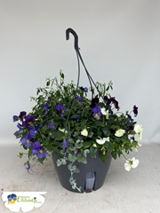 Hanging Baskets 27Ø 40cm