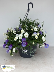 Hanging Baskets 27Ø 50cm