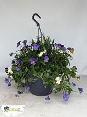 Hanging Baskets 27Ø 40cm