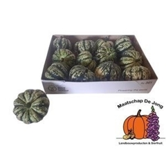Cucurbita Pepo Sweet Dumpling 10cm