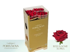 Rosa Red Naomi! 80cm