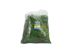 Coniferen Green