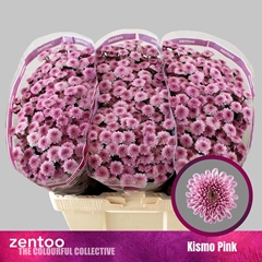 Chrysanth Santini Kismo Pink 55cm 44gr.
