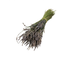 Dried Flowers Lavender 30cm 100g