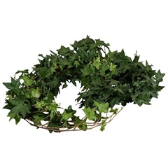 Hedera Twig Green 80cm