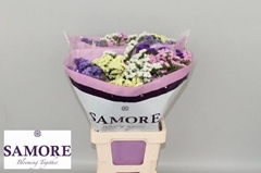 Limonium Sinuatum Mix 70cm 40gr.
