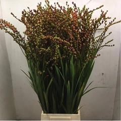 Crocosmia With Berry 80cm