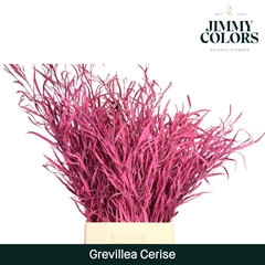 Grevillea Painted Cerise 70cm