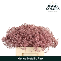 Gypsophila Painted Metallic Pink 60cm 20gr.