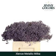 Gypsophila Painted Metallic Milka 60cm 20gr.