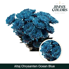 Chrysanth Spray Painted Altaj Ocean Blue 70cm 105gr.
