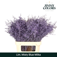 Limonium Painted Misty Blue Milka 90cm 40gr.