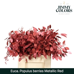 Eucalyptus Populus Painted Metallic Red Per Bunch 60cm 200gr.