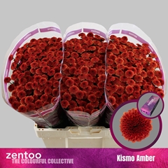 Chrysanth Santini Kismo Amber 55cm 40gr.