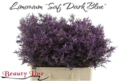 Limonium Safora Dark Blue 60cm 20gr.