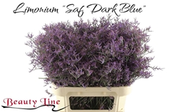 Limonium Safora Dark Blue 80cm 40gr.