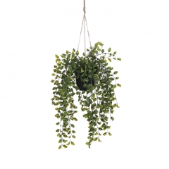 Artificial Plants Hanging Ficus D20*46cm