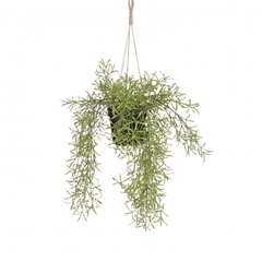 Artificial Plants Hanging Rhipsalis D20*40cm