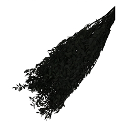 Dried Flowers Ruscus 65cm 110g