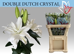 LilY Oriental Double Double Dutch Crystal 70cm 3+
