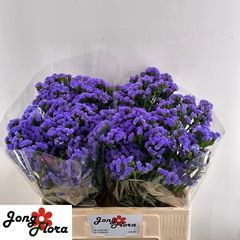 Limonium Sinuatum Midnight Wings 60cm 25gr.