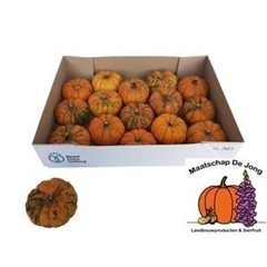 Cucurbita Pepo Jack Be Little 5cm