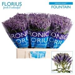 Veronica Smart Fountain 60cm