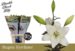 Lily La Eyeliner 90cm 5+