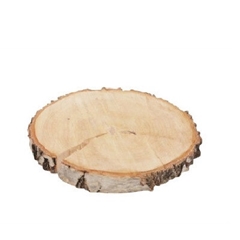 Dried Articles Woodslice Birch D21cm
