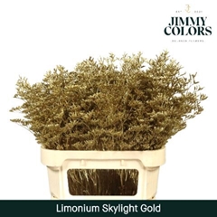 Limonium Painted Skylight Metallic Gold 80cm 30gr.