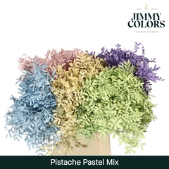 Pistacia Painted Pastel Mix 40cm