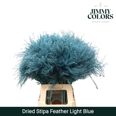 Stipa Feather Light Blue 70cm