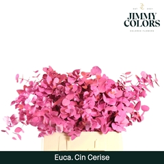 Eucalyptus Cinerea Painted Cerise Per Bunch 70cm 200gr.