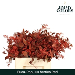 Eucalyptus Populus Painted Red Berry Per Bunch 60cm 200gr.