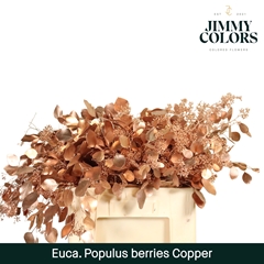 Eucalyptus Populus Painted Copper Berry Per Bunch 60cm 200gr.