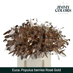 Eucalyptus Populus Painted Rose Gold Per Bunch 60cm 200gr.