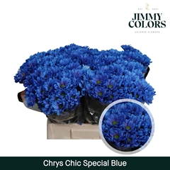 Chrysanth Spray Chic 70cm 90gr.