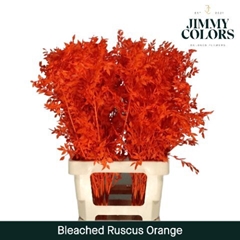 Ruscus Aculeatus Preserved Orange 25st