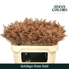 Solidago Painted Metallic Rose Gold 70cm 25gr.