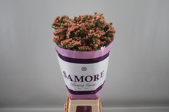 Limonium Sinuatum Royal Orange 80cm 45gr.