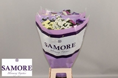 Limonium Sinuatum Mix 60cm 20gr.