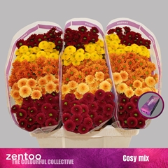 Chrysanth Santini Mix 55cm 44gr.