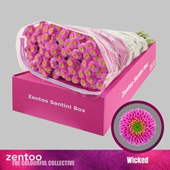 Chrysanth Santini Wicked 55cm 44gr.