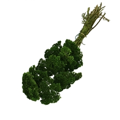 Dried Flowers Achillea 65cm X12