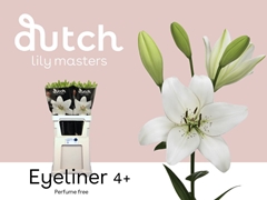 Lily La Eyeliner 90cm 4+