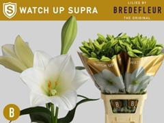 Lily Lf Watch Up 95cm 3+