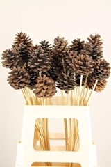 Pine Cone Natural 50cm