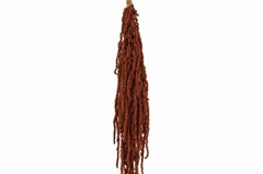 Amaranthus Caudatus Brown Per Bunch 70cm