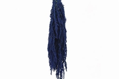 Amaranthus Blue Per Bunch 70cm