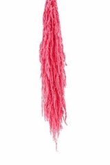 Amaranthus Caudatus Light Pink Per Bunch 80cm